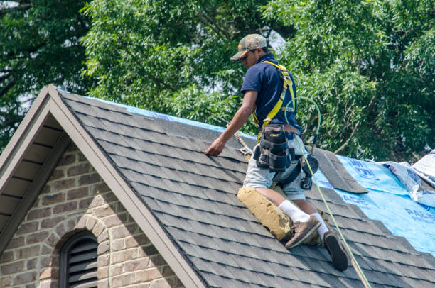 Best Roof Leak Repair  in Shreveport, LA